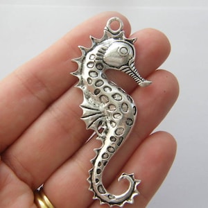 Puede incluir: Encanto de caballito de mar plateado con un diseño detallado y texturizado. El encanto tiene un bucle en la parte superior para sujetarlo a joyas u otras manualidades.