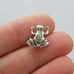 Puede incluir: Encanto de rana de plata con un diseño detallado. El encanto es pequeño y tiene un acabado liso y metálico.