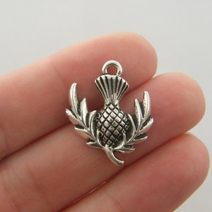 6 Thistle charms antique silver tone F34