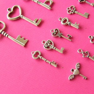 The Ultimate Key Charms Collection 15 different antique silver tone charms image 3