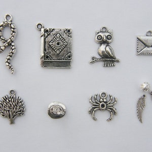 The Wizard Charms Collection - 10 antique silver tone charms