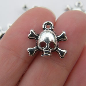 May include: Silver skull and crossbones charm with a loop for attaching to a necklace or bracelet.
