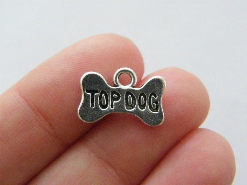 dog bone charms