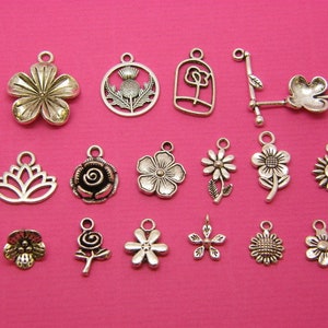 The Flower Collection - 16 different antique silver tone charms