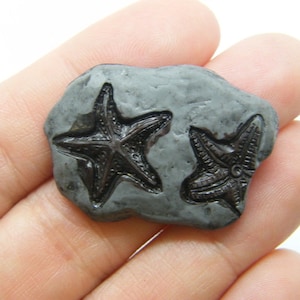 10 Seestern fossile Verzierung Cabochon Harz FF387