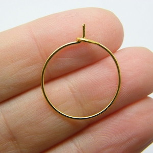 May include: A gold-toned hoop earring with a hinged closure.