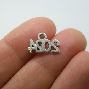 10 2024 year charms antique silver tone P503 image 2