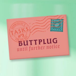 N.2 of 12 Task Magnet, Cheeky Reminder, Humorous Gifts for Adults, buttplug until further notice, Kitchen Decor, Party Favor