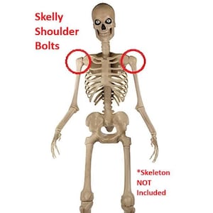 May include: A full-body plastic skeleton with visible rib cage, skull, and limbs. The image highlights the shoulder joints with red circles and text that reads "Skelly Shoulder Bolts." The text "*Skeleton NOT Included" is also present.