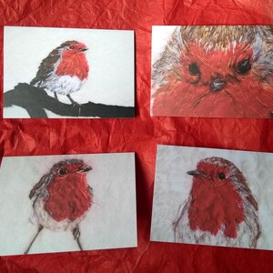 Cartes de Noël Robin - lot de 4