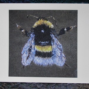 Bumblebee Fine Art Giclee Print image 1