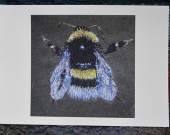 Bumblebee Fine Art Giclee Print