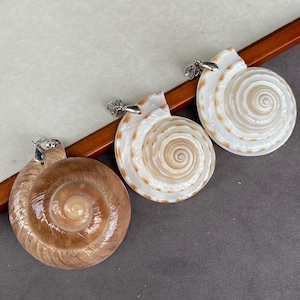 Pode incluir: Três pingentes de concha em espiral com argolas de metal prateado. Um pingente é castanho brilhante sólido, enquanto os outros dois são brancos com delicados padrões em espiral castanho-claros. Cada concha tem uma superfície lisa e polida.