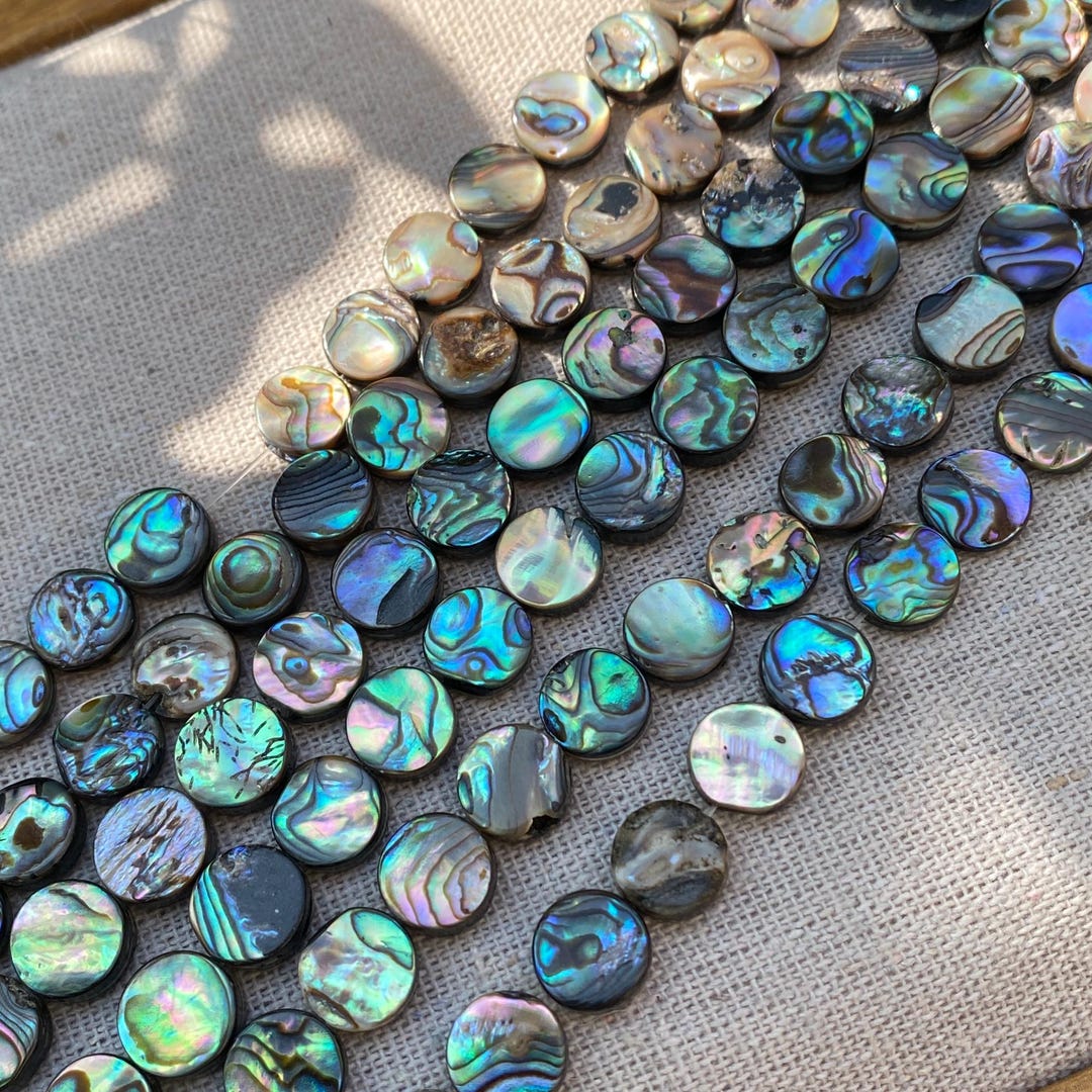 Abalone Shell Coin Beads Strand Natural Iridescent Round Shell Beads ...