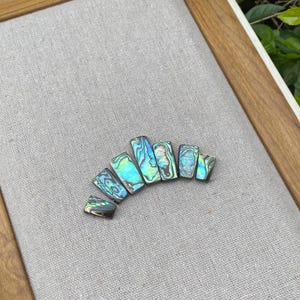 以下が含まれることがあります： 長方形のアワビの貝殻のコレクション。虹色の青、緑、紫の色合いが特徴です。貝殻は、木製のフレームの中に、ニュートラルグレーの生地の上に曲線状に配置されています。