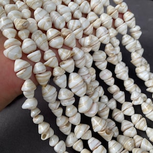 Può includere: Primo piano di fili di perline di conchiglia bianche e beige. Le perline presentano un motivo a spirale con strisce beige. Le perline sono infilate insieme, creando un aspetto strutturato e naturale. Ideale per la creazione di gioielli o progetti artigianali.