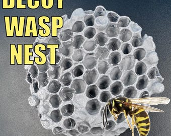 Nido di vespe finto (repellente per insetti, giardino, estate)