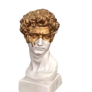 13 in Pink  David Sculptures - Large Male bust - Large Popart Sculptures-Roman Bust-Gift for friends