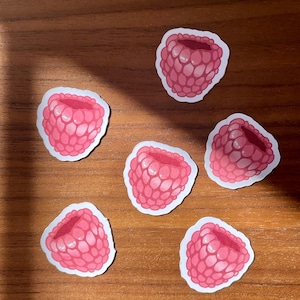 Sticker framboise, sticker brillant, bordure blanche, à dessiner soi-même, journalisation, scrapbooking, décoration de téléphone/ordinateur portable, décoration de bouteille