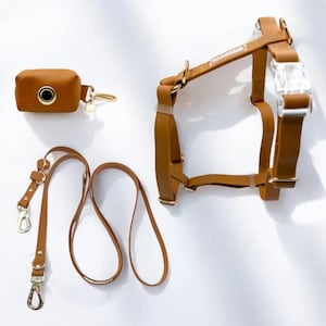 Ensemble de harnais végétalien imperméable marron - Harnais sans traction pour chien, laisse mains libres et support pour sac à crottes avec accessoires dorés