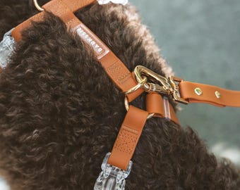 Stylish Vegan Waterproof No-Pull Dog Harness For Everyday Adventures