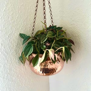 Puede incluir: Una maceta colgante de cobre con textura martillada, suspendida por una cadena. La maceta contiene una exuberante planta verde con hojas abigarradas. El cobre refleja la luz, creando una estética cálida. La planta es una adición vibrante a cualquier espacio.