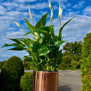 Handgjord kopparblomkruka "Harmony"