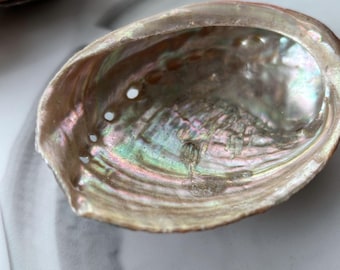 Abalone Shell for Smudging, Cleansing, and Ritual Work