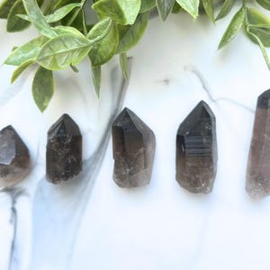 Puede incluir: Cinco puntas de cristal de cuarzo ahumado, cada una con una punta puntiaguda y un cuerpo claro y translúcido. Los cristales están dispuestos en una fila sobre una superficie blanca.