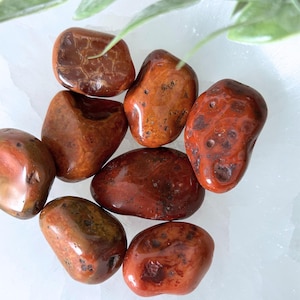 May include: A collection of seven red jasper tumbled stones. The stones are smooth and polished, with a variety of red and brown hues.