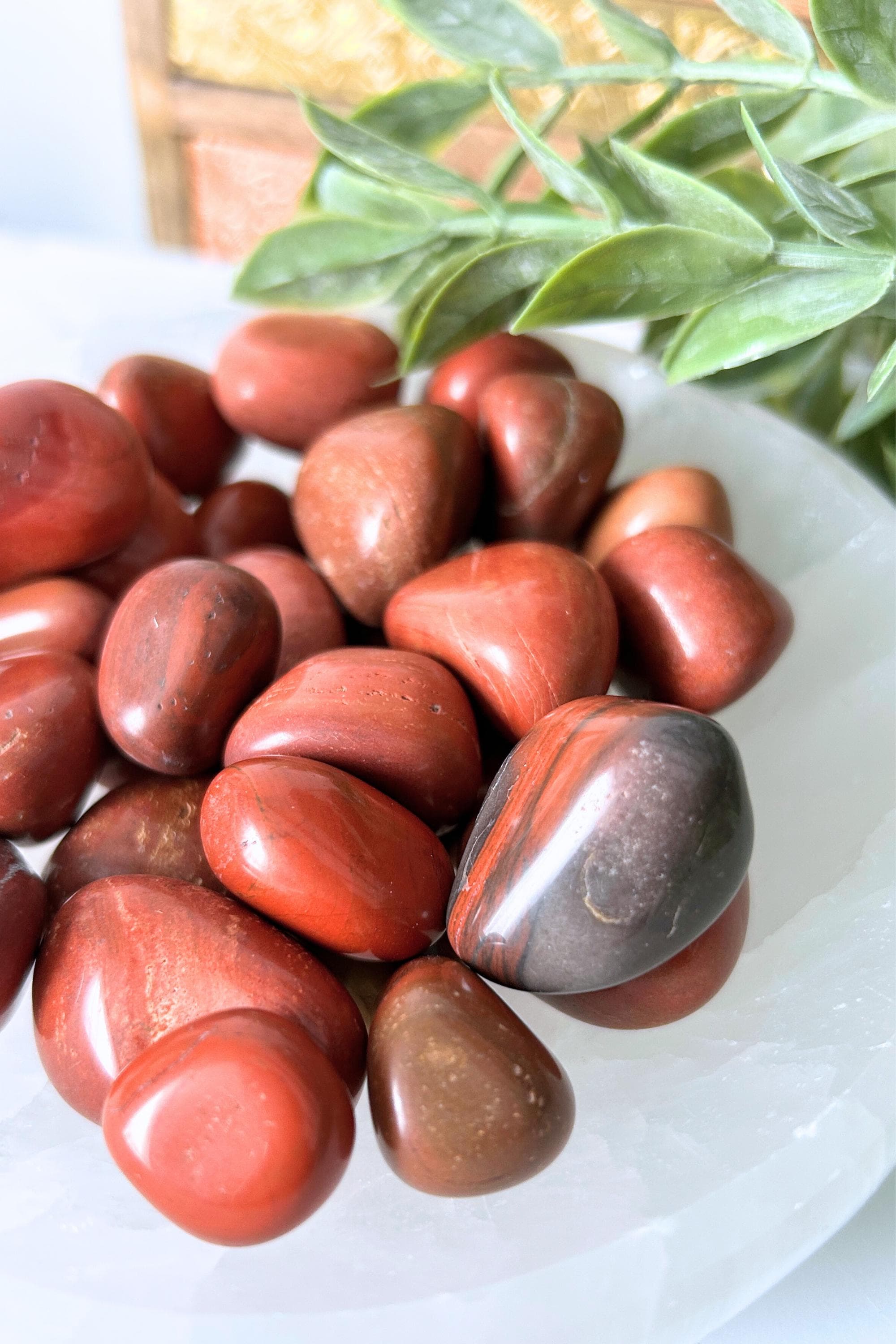 STONE  BOTTLENECK KINT ダークレッド13AW Amazon.com: Hard Cover Hood with Temperature Gauge for Blackstone