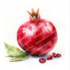 9 Watercolor pomegranate clipart, Fruit clipart, Printable Watercolor clipart, High-Quality JPG, Digital download, Papercraft, junk journal