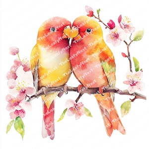 12 Love birds clipart, Watercolor birds, printable Watercolor clipart, High Quality JPGs and PNGs, Digital download, Paper craft,