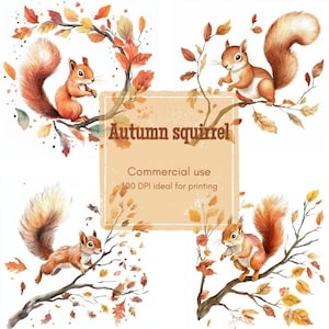 Puede incluir: Ilustraciones en acuarela de ardillas en ramas con hojas de otoño. La imagen incluye el texto "Autumn squirrel" y "Commercial use 300 DPI ideal for printing". Las ardillas están representadas en tonos naranja y marrón.