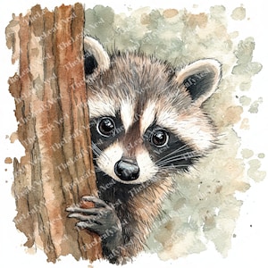 9 clipart raton laveur furtivement, clipart raton laveur, clipart aquarelle imprimable, JPG de haute qualité, téléchargement numérique, Papercraft, sublimation