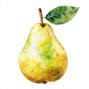 14 Pear Clipart, Ripe Yellow-Green Pear Clipart, Printable Watercolor Clipart, High Quality JPGs, Digital Download, Junk Journals