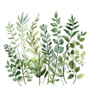May include: A watercolour illustration of assorted green leaves and foliage against a white backdrop. The leaves display diverse shapes and shades, evoking a natural, botanical theme. The artwork has a soft, artistic style.