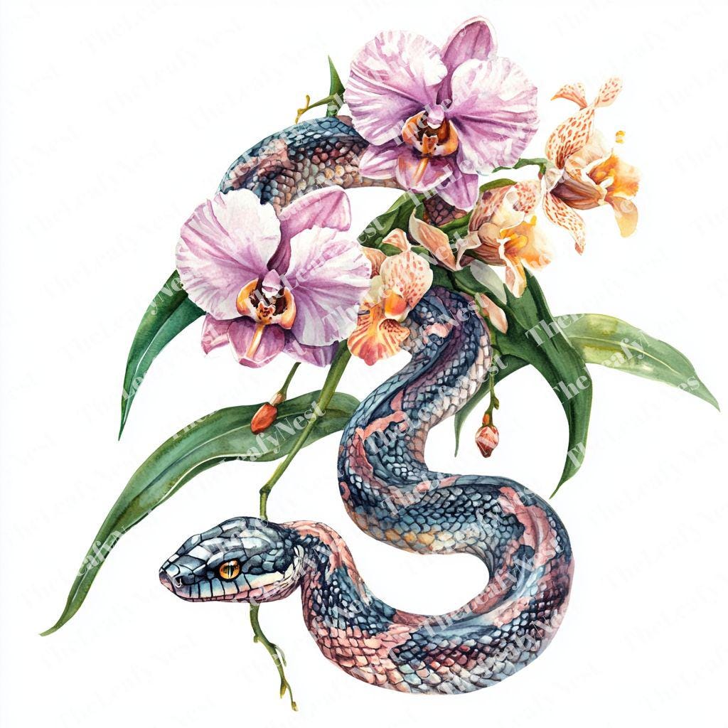 蘭の蛇のクリップアート10点、花の爬虫類のクリップアート、植物の蛇の