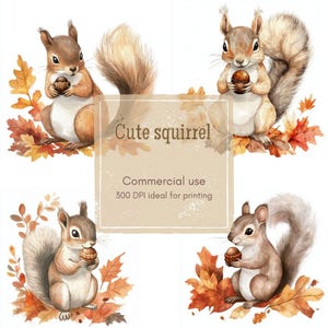 13 Squirrel Clipart, Autumn Acorn Clipart, Woodland Animal Clipart, Printable Watercolor, High-Quality JPGs, Papercraft, Junk Journal
