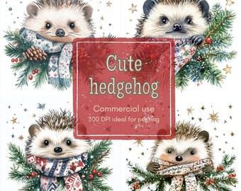 19 Igel Clipart, Aquarell Weihnachten Clip Art, Igel, Waldtier, gemütliche festliche Kunst, Junk Journal