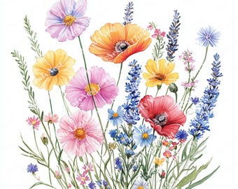 Watercolor Wildflower Clipart: Poppy, Daisy, Cosmos (PNG Digital