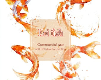 Clipart de pez koi en acuarela: Arte de estanque naranja y blanco (Descarga digital JPG)