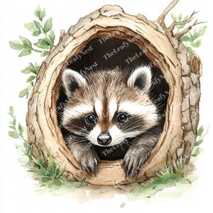 Clipart creux de raton laveur dans l'arbre, clipart de raton laveur, clipart aquarelle imprimable, JPG de haute qualité, téléchargement numérique, Papercraft, sublimation