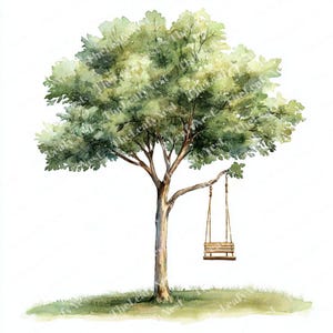 May include: Watercolour painting of a tree with a wooden swing suspended from a branch. The tree features a light brown trunk and verdant green leaves. The swing is constructed from wood and rope, set against a white backdrop.