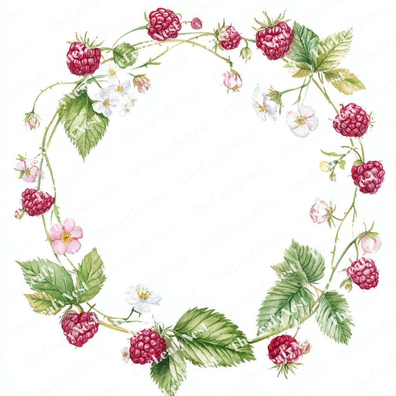 Wreath Raspberry 8 Raspberry Wreath Clipart, Berry Floral Frame Clipart, Printable ...