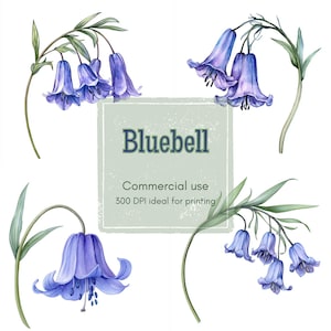 15 Bluebell Clipart, Blue Purple Flower Clipart, Bell Shaped Floral Clipart, Printable Watercolor, High-Quality JPG&PNG, Papercraft, Journal