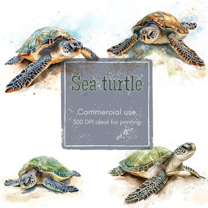 16 Sea Turtle Clipart, Watercolor Turtle on Beach Clipart, Printable Watercolor Clipart, High Quality JPGs, Digital Download, Junk Journal