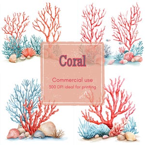 17 Tropical Coral Clipart, Sea Plants and Seashells Clipart, Printable Watercolor Clipart, High Quality JPGs, Digital Download, Junk Journal