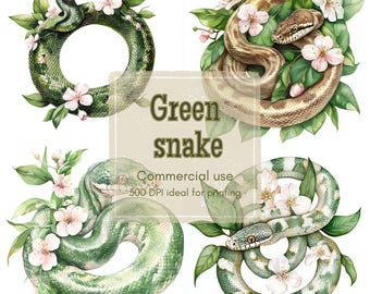 15 Clipart di pitone a spirale, Clipart di serpente floreale, Clipart di rettile botanico, Acquerello stampabile, PNG di alta qualità, Carta da regalo, Diario di scarto