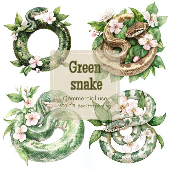 15種類のPythonスパイラルクリップアート、花柄のヘビのクリップアート
